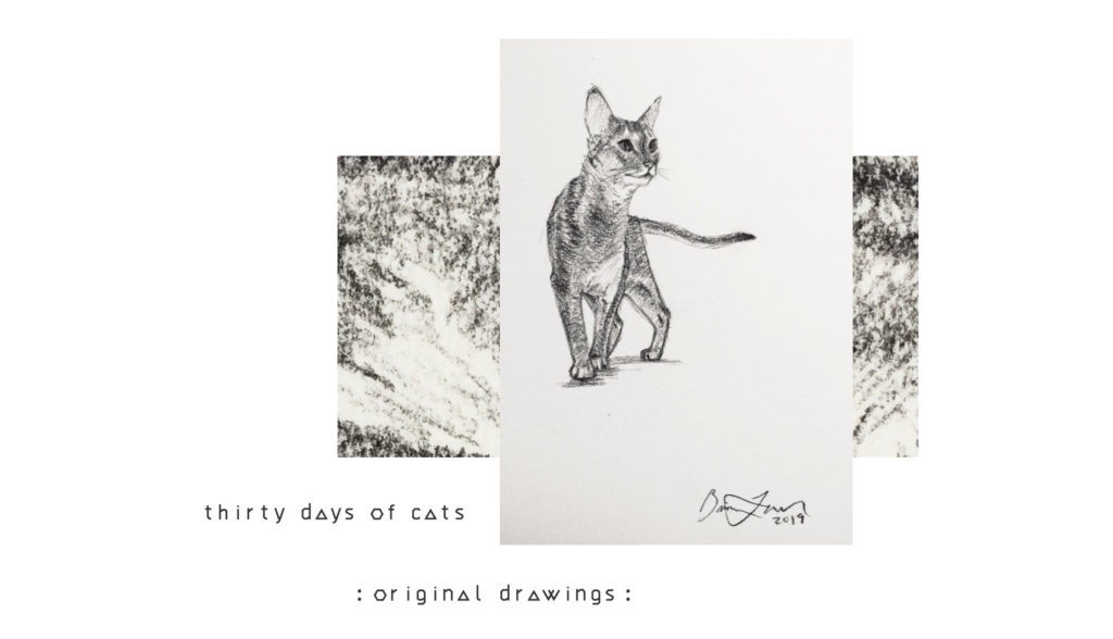 cat drawings original artwork for sale