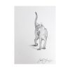 cat art for sale drawing sketch in pencil