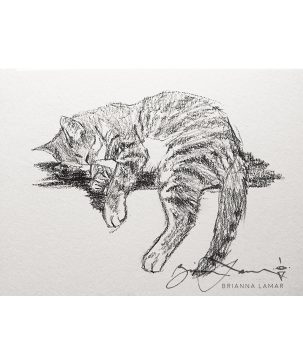 classical fine art cat art for sale drawing sketch in pencil