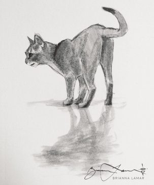 classical fine art abyssinian cat art for sale drawing sketch in watercolor brush pen