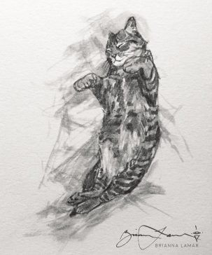 classical fine art fluffy cat art for sale drawing sketch in watercolor brush pen