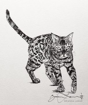 classical fine art bengal cat art for sale drawing sketch in ink pen